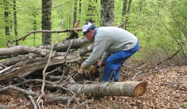 Article Baja Iraty 2011 Des News 71654896