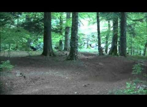 Article Baja Iraty 2011 Photos Videos 73105959