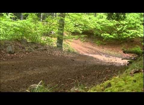 Article Baja Iraty 2012 Video 105235101