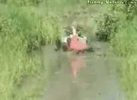 Article Compilation Humour Quad 62427810