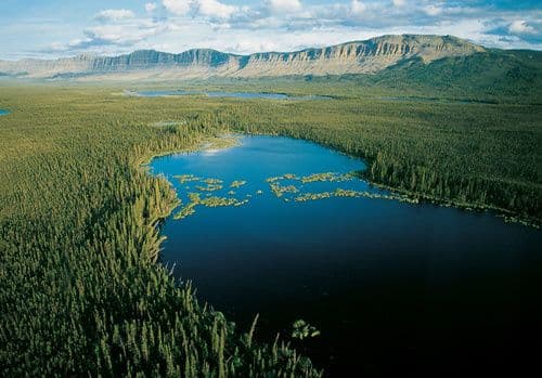 Article Le Canada Et La Foret Boreale 102773705