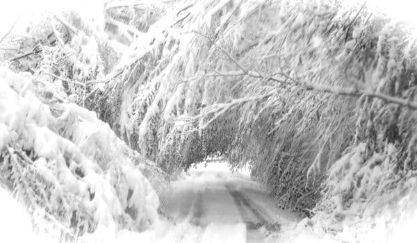 Article Operation Hiver Pour Les Pros Chez Polaris 38 121334353