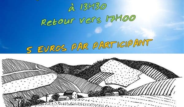 Les Randonnees Encadrees Par Notre Equipe Reprennent